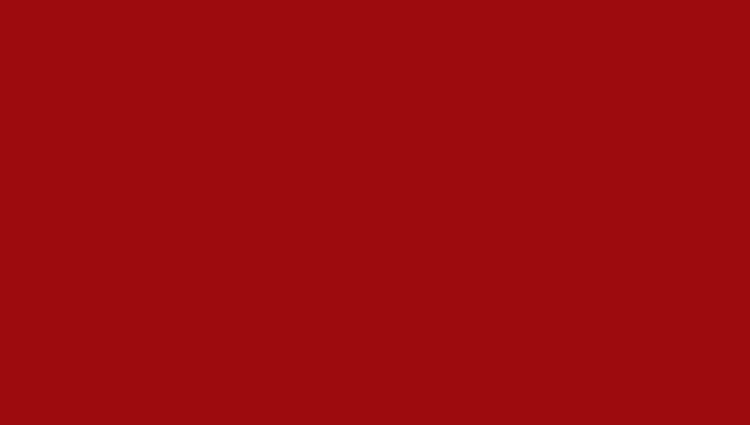 красный рубин (RAL 3003).JPG